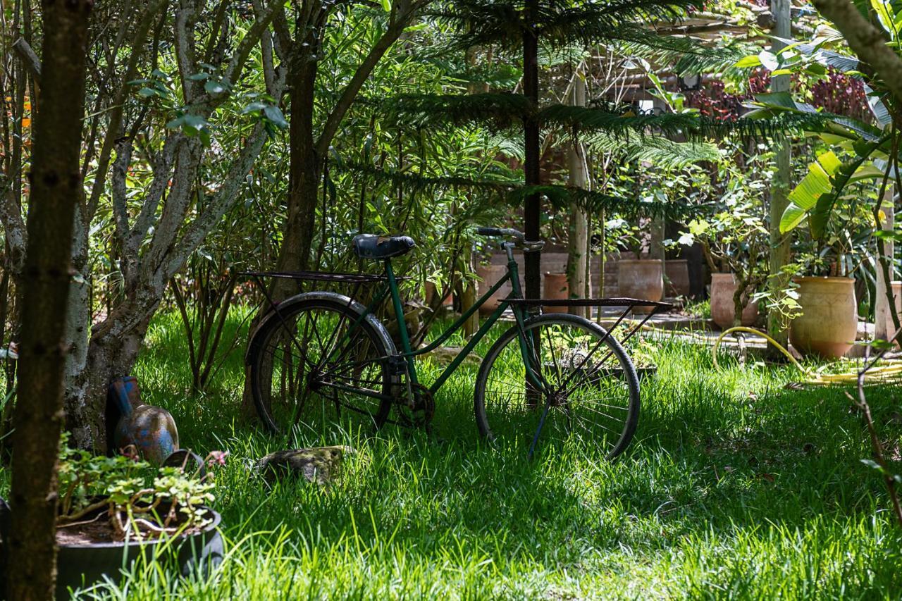 La Villa Joubert Oualidia Bagian luar foto