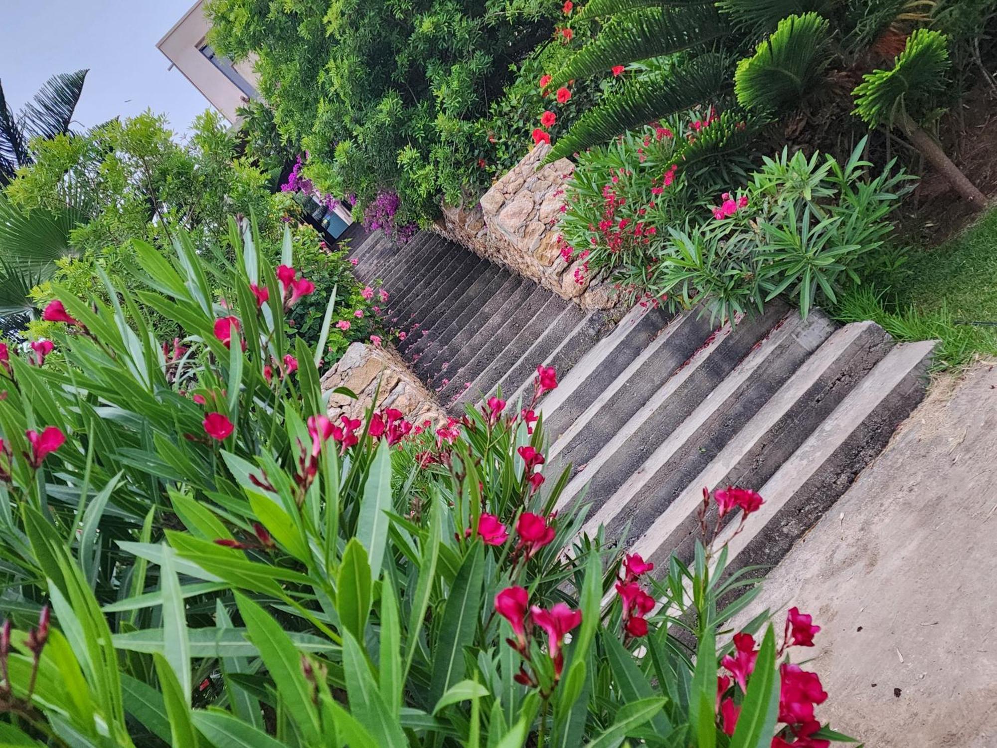 La Villa Joubert Oualidia Bagian luar foto