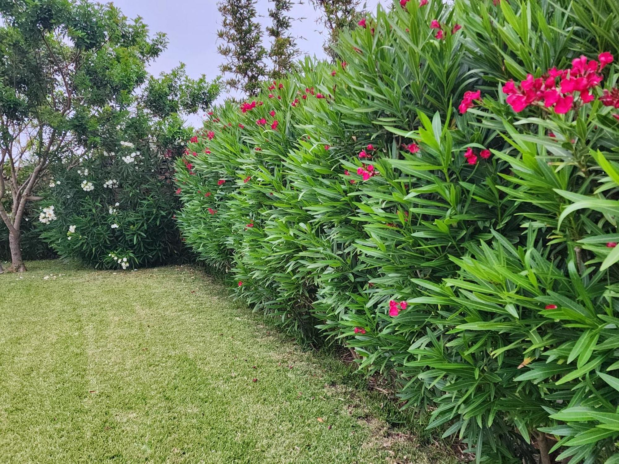 La Villa Joubert Oualidia Bagian luar foto